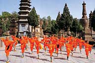 Shaolin Wheel Of Life Monks army