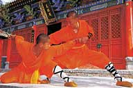 Shaolin Wheel Of Life Monks screen